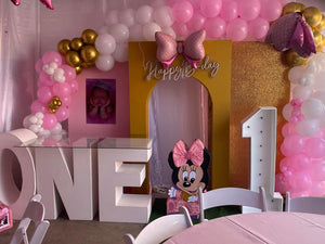 BackDrop - Minnie ONE